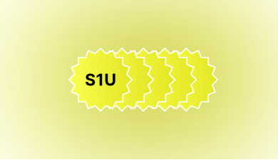 S1 Transactions